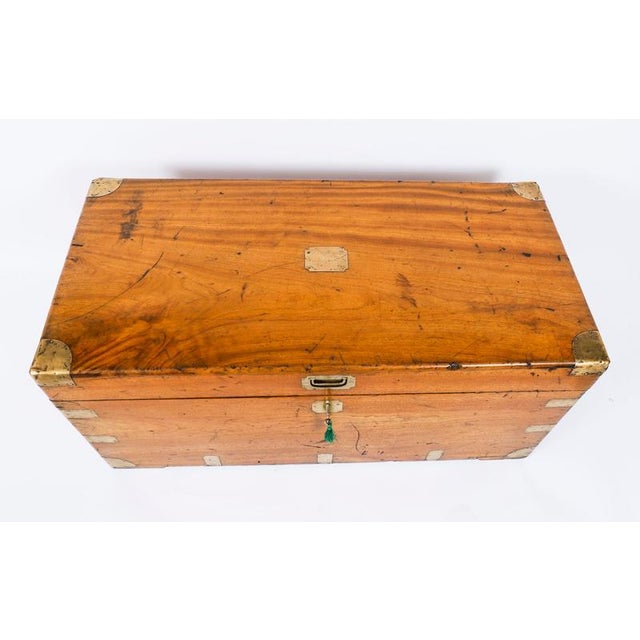 19th Century Antique Military Campaign Camphorwood Trunk Coffer, 1840s For Sale - Image 5 of 15