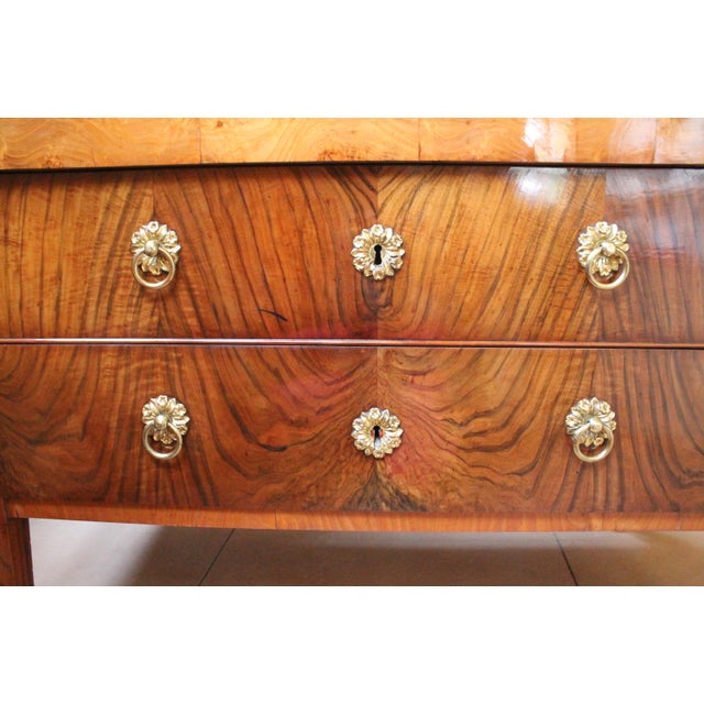 Italian Neoclassical Commode With Exceptional Brass Hardware For Sale - Image 11 of 18