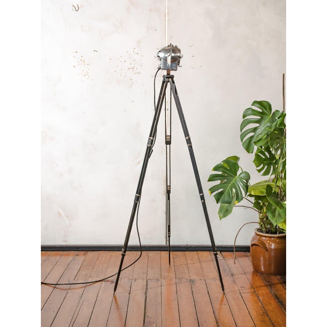 Black Spotlight Floor Lamp from Ianiro, 1950s For Sale - Image 8 of 18