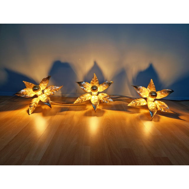 Large Floral Wall Light attributed to Willy Daro for Massive, Belgium, 1970s For Sale - Image 10 of 18