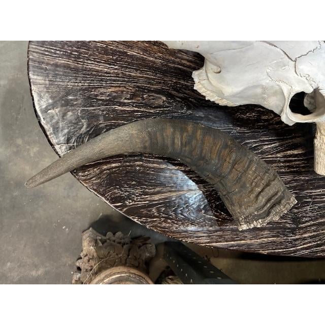 Late 20th Century Water Buffalo Skull, Thailand For Sale - Image 9 of 11