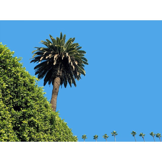 "The Hills" Contemporary Open Edition Print by Niqui Carter 20"x15" For Sale