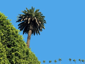 "The Hills" Contemporary Open Edition Print by Niqui Carter 20"x15"