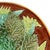 Late 19th Century George Jones Majolica Maple Leaf and Ferns Plate on a Brown Ground, Ca. 1870. For Sale - Image 5 of 7