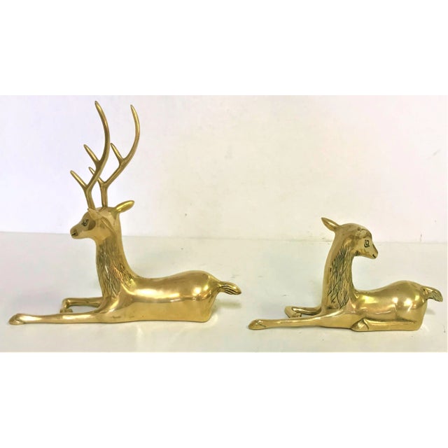 Vintage Brass Buck and Doe Reclining Deer Figurines - a Pair For Sale - Image 4 of 11