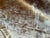 Fabric De Le Cuona Cavalier Ale For Sale - Image 4 of 4