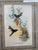 Original Circa 1850 John Gould “Urochroa Bougieri” Hand-Colored Hummingbird Lithograph For Sale - Image 4 of 8