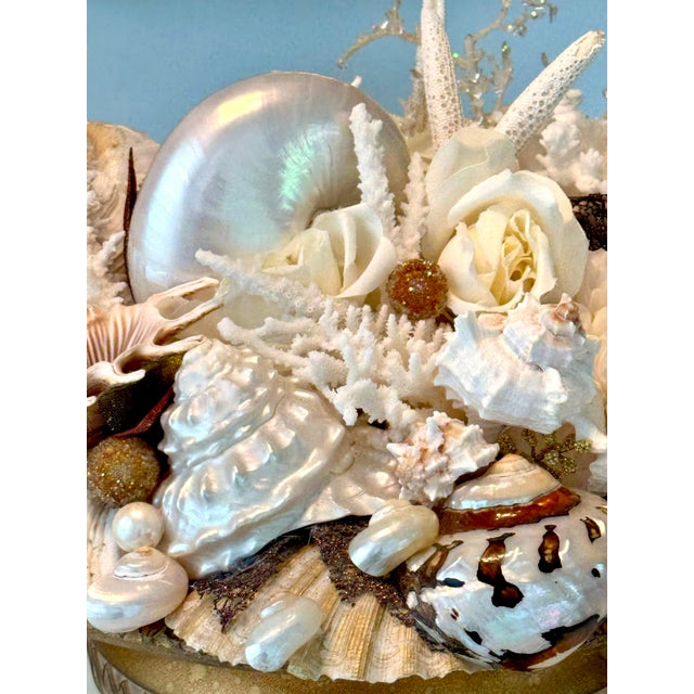 Contemporary Large Neoclassical Coastal Shell Composition Urn – Nautical Fine Art Decor For Sale - Image 3 of 11