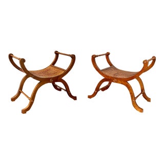 Mid 20th Century Curule Benches - a Pair For Sale