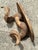 Vintage Faux Ram’s Horn Bracket For Sale - Image 4 of 18