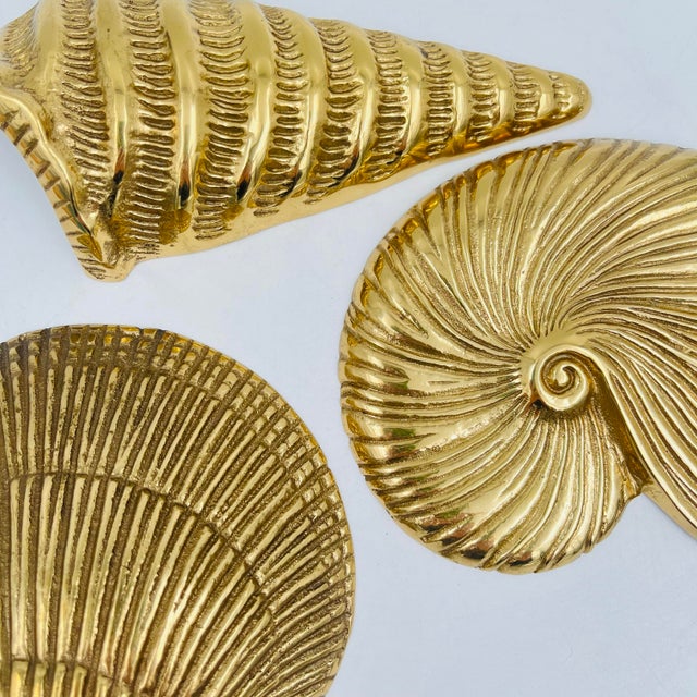 Metal Mid 20th Century Brass Sea Shells Wall Hangings or Tabletop Décor - Set of 3 For Sale - Image 7 of 14