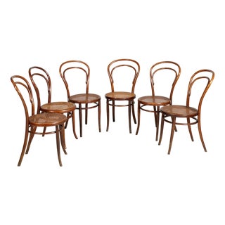 No. 14 Chairs by Michael Thonet for Thonet, 1960s, Set of 6 For Sale