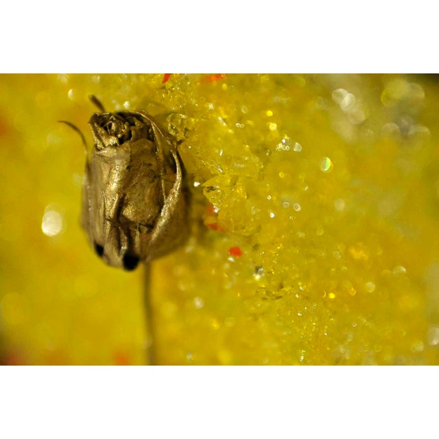 Vincenzo Marega, The Absolute Elegance of Matter and Crystal, 2025, Mixed Media Panel For Sale - Image 17 of 18