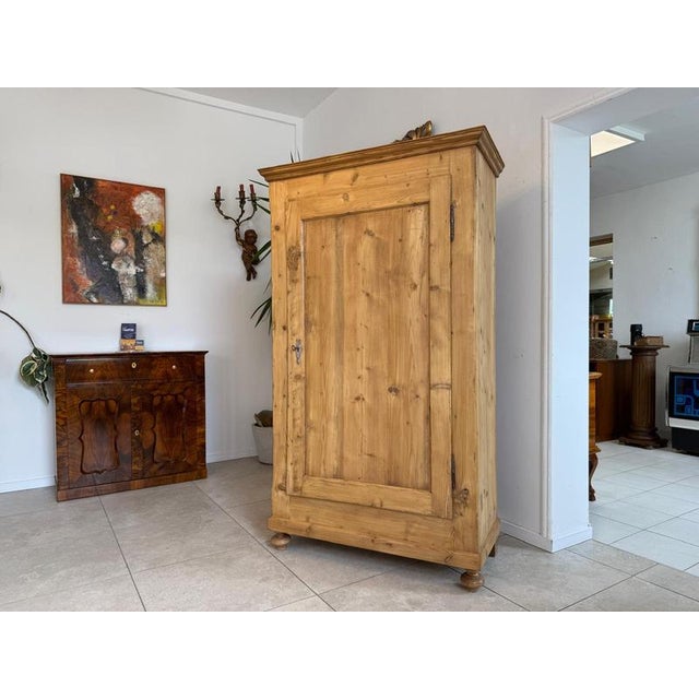 Biedermeier Cabinet in Natural Wood For Sale - Image 3 of 11