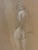 Dudovich, Nude Female Figure, 20th Century, Drawing on Paper For Sale - Image 4 of 6