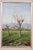 Countryside Landscapes, Oil Paintings on Board, Early 20th Century, Framed, Set of 2 For Sale - Image 16 of 17