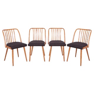 Dining Chairs by Antonín Šuman for TON, 1960s, Set of 4 For Sale