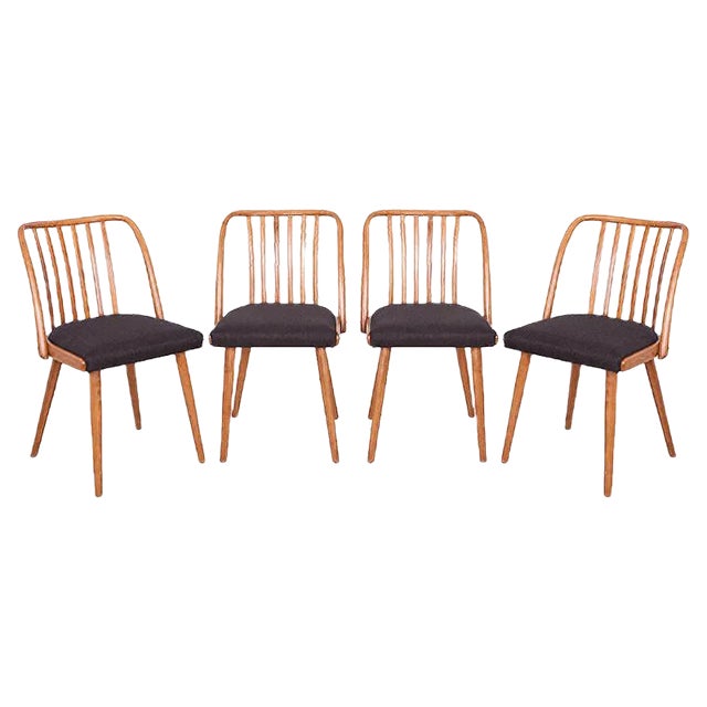 Dining Chairs by Antonín Šuman for TON, 1960s, Set of 4 For Sale