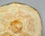 French Trompe l'Oeil Faux Bois Glazed Organic Oyster Plate For Sale - Image 12 of 12