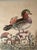 This fanciful duck is from an important series of hand-colored etchings by George Edwards, an English naturalist from the...