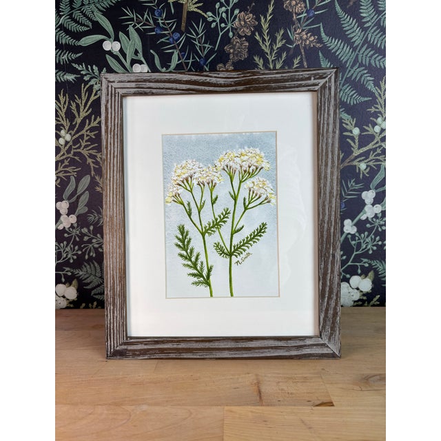A graceful pair of yarrow stems rises against a softly mottled blue background in this original botanical watercolor....