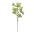 Enhance your space with the bold beauty of Anthurium Leaf Branches. These striking, natural variegated green leaves are...