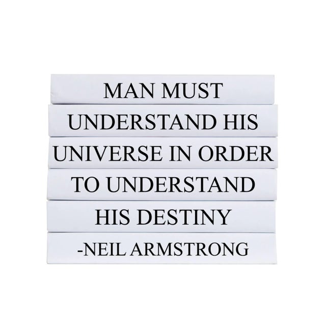 Modern Decorative Books - Quote Book Stack - "Understand His Destiny" For Sale - Image 3 of 3
