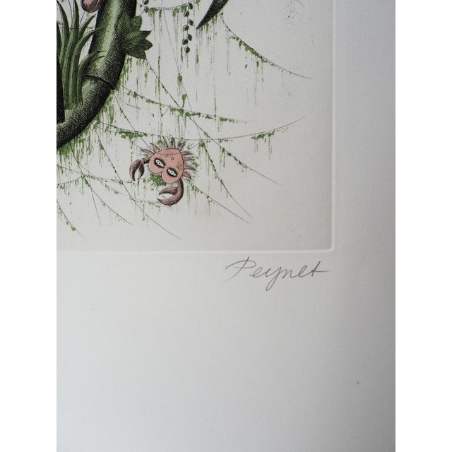 Raymond PEYNET Zodiac sign: Cancer, 1979 Original engraving Signed in pencil Numbered /22 copies On Arches vellum 76 x 56...