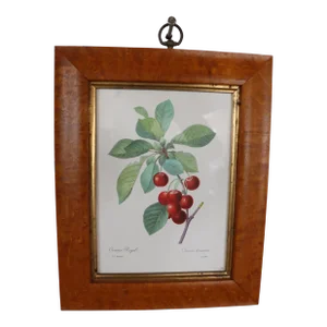 Birds Eye Maple Framed Cherry Print