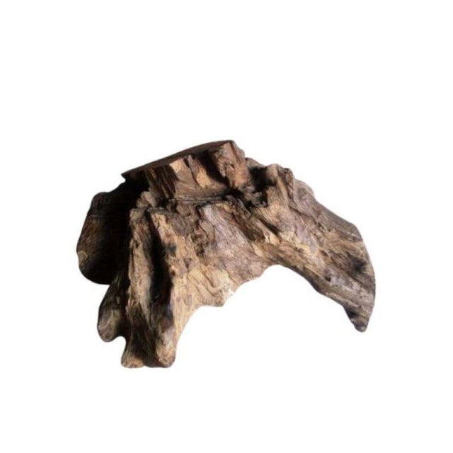 Brutalist Sculptural Wooden Centerpiece, 1970s For Sale - Image 13 of 17