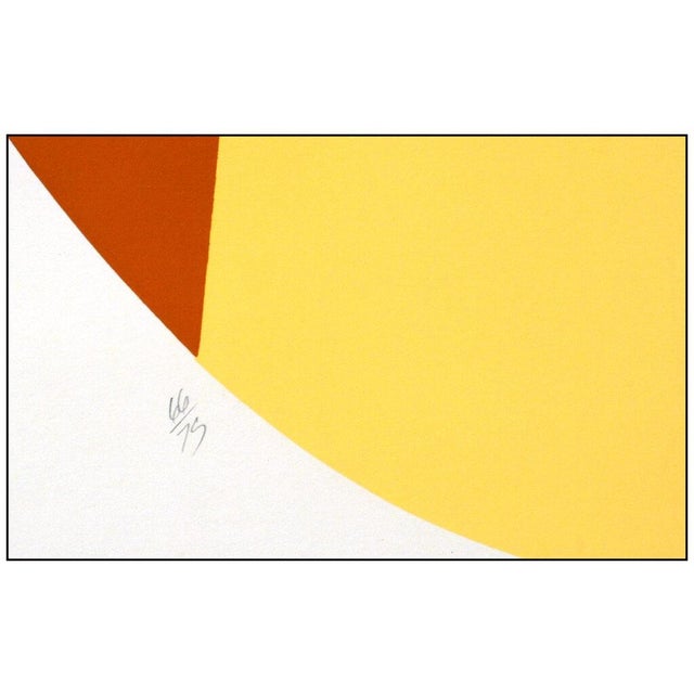 Late 20th Century Terra III, Doug Danz For Sale In Minneapolis - Image 6 of 7