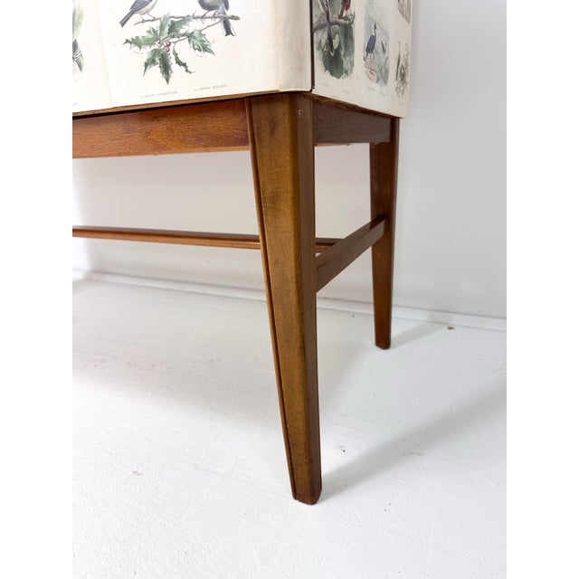 1950's Swedish Cabinet With Bird Illustrations by Édouard Traviés For Sale In Boston - Image 6 of 10