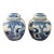 Pair of Small Blue & White Ginger Jars With Classic Chinese Motif For Sale
