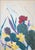 2020s 2026, Illustration Style Botanical Painting, Cactus With Wildflowers, Acrylic Paint on Watercolor Paper by Romina Milano For Sale - Image 5 of 11