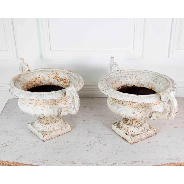 Pair of English 19th Century Cast-Iron Garden Urns For Sale - Image 13 of 13