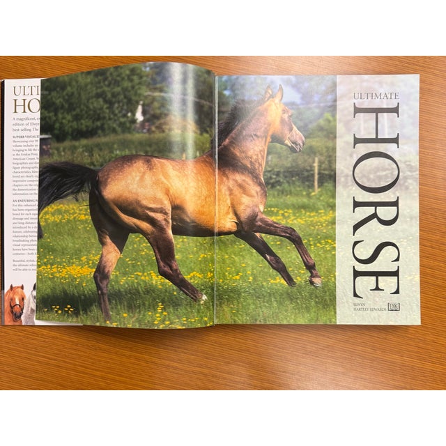 2000 - 2009 Ultimate Horse Coffee Table Hardcover Book 2002 For Sale - Image 5 of 10