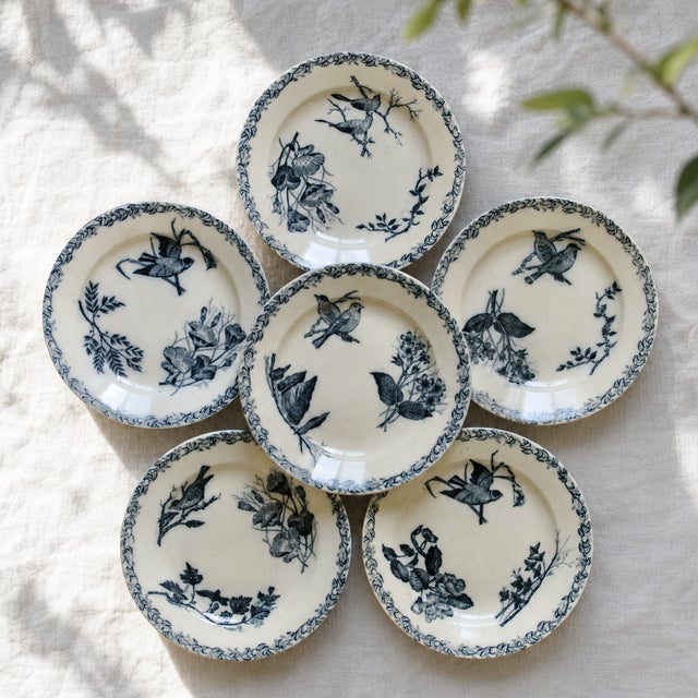 French Plates with Birds by Onnaing, 1875, Set of 6 For Sale - Image 12 of 12