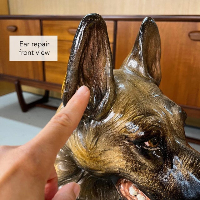 Italian Made Hand Painted and Glazed Terra Cotta Near Life Size German Shepherd For Sale - Image 10 of 13