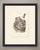This antique hirschfeld anatomy print of the nerves of the male pelvic viscera is plate 72 from hirschfeld and leveille's...