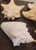 Vintage Large Coastal Genuine Natural Conch Sea Shells- Set of 6 For Sale - Image 14 of 16