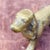 Brass Late 1800s Miniature Brass English Spaniel Dog Figurine For Sale - Image 8 of 12