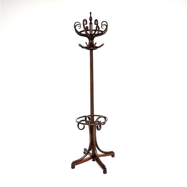 Antique Victorian Bentwood Coat Rack, 1880s For Sale - Image 3 of 10