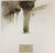 Michele Alassio, Venice 1954, Palazzo Ducale, 2000, Photography For Sale - Image 9 of 13