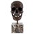 Modern Modern Dark Brown Patinated Skull Sculpture, Bronze on Marble Base For Sale - Image 3 of 3