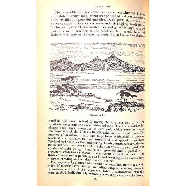 Paper "British Birds: Lifestyles and Habitats" 1982 Prestt, Ian For Sale - Image 7 of 9