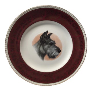 Vintage Solian Ware Simpson's Potters Ltd Cobridge England Schnauzer Dog Plate For Sale