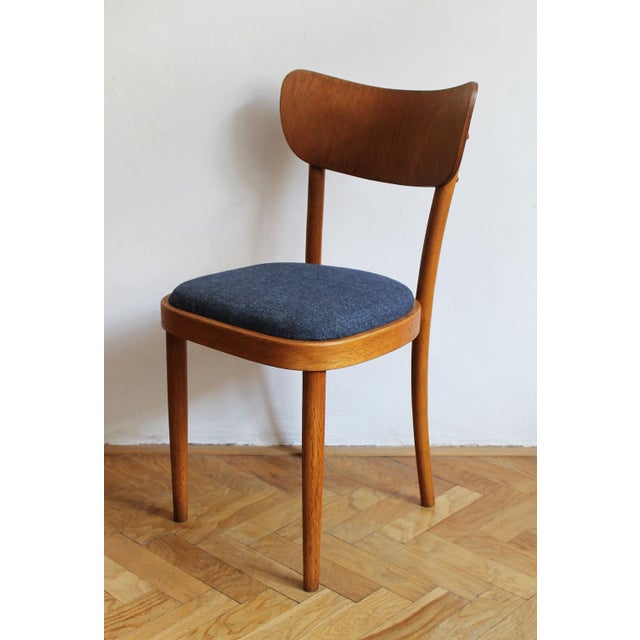 Czech Beech Dining Chair by Up Rousínov from Up Závody, 1960s For Sale - Image 4 of 17