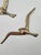Modernist Brass Wall Seagulls, 1960s, Set of 5 For Sale - Image 9 of 10