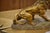 A. Fagotto, Lion Sculpture, 1920s, Terracotta For Sale - Image 3 of 12