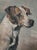 Vintage oil painting of a Jack Russell Terrier. Wonderful deep look from the jack Russell provides a sense of protection....